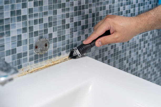 Best Toxic Mold Removal  in Munster, IN