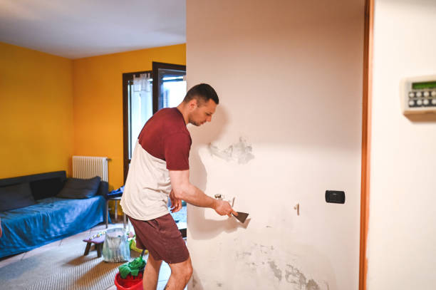 Best Mold Remediation  in Munster, IN